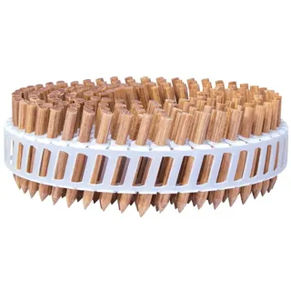 LignoLoc 15° Coil 3,7x38mm glatt ungeharzt Holznagel im Plastikband (3.060 Stück...