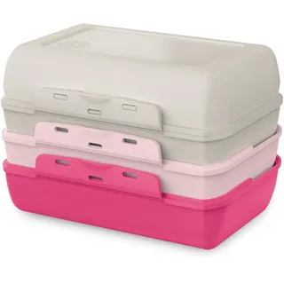 Emsa Lunchbox Variabolo, Polyprophylen (PP), (Set, 4-tlg), platzsparend, verschiedene Farbkombinationen, spülmaschinenfest grau|rosa