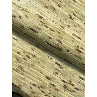 Nature LOUNGE Bambus Wandverkleidung - Exotischer Rollbelag aus echten Bambuslatten (Höhe: 150 cm / 1 Stk. = 1 Meter, Grün getigert)