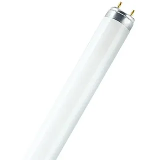 Osram LUMILUX INTERNA 36W G13 (325699)