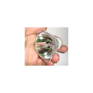 Nackte Philips Lampe SAMSUNG SP-A600 NLMP19435