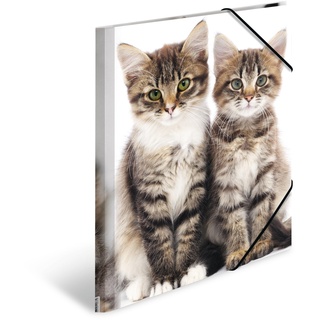 3 HERMA Sammelmappen DIN A4 Katzen