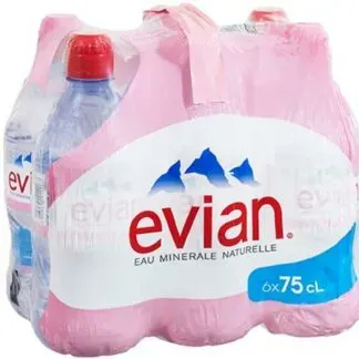 Evian Naturliches Mineralwasser Still 0,75l