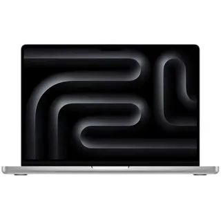 2024 M4 24 GB RAM 1 TB SSD 10-Core GPU Silber MCX14Y/A
