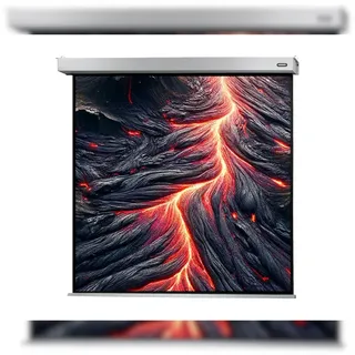 Celexon Motor Professional Plus 300x300 1:1