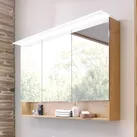Puris b • brace Spiegelschrank 120 x 15 x 82 cm mit 1 LED-Flächenleuchte und 1 beleuchteten Ablagefach, Badmöbel,