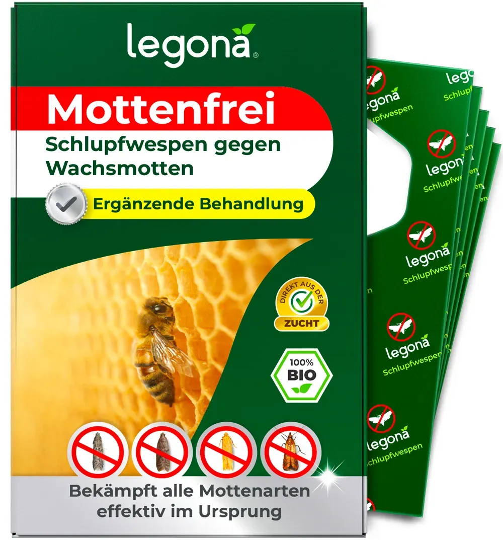 Schlupfwespen gegen Wachsmotten