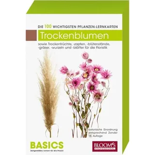 BLOOM'S Trockenblumen/Trockenfloralien