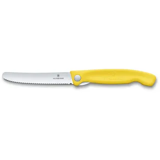 Victorinox Swiss Classic silber, gelb
