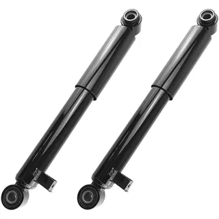2x Stoßdämpfer Gasdruck Hinterachse für Hyundai Santa Fe I II für Kia Sorento II XM