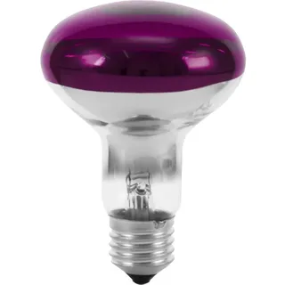 Eurolite 9210440U Halogen E27 Reflektor 60 W Violett (Ø x L) 80 mm x 110 mm 1 St.