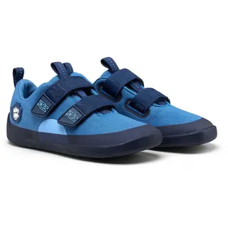 Bär Blau 25