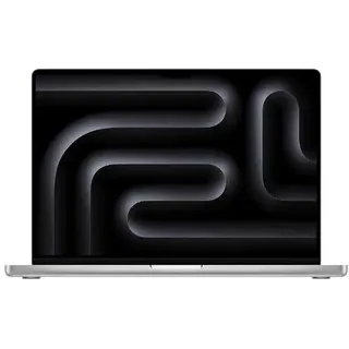 2024 M4 Pro 48 GB RAM 512 GB SSD 20-Core GPU Silber MX2U3Y/A