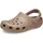 Latte 45-46