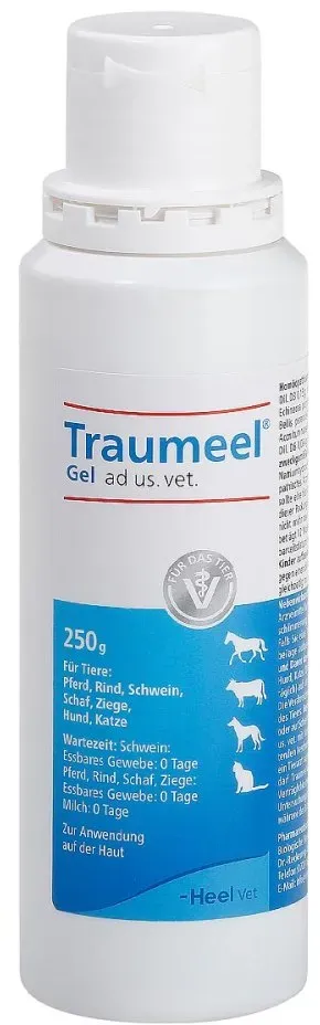 Traumeel Gel ad us. vet.