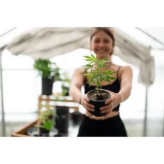 Floragard Herbi's Living Soil Grow Booster Biologisch aktiver Naturdünger 1 kg