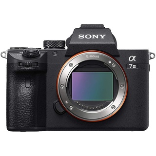 Sony Alpha 7 III Body