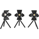 SmallRig RM01 LED Video Licht Kit 3469