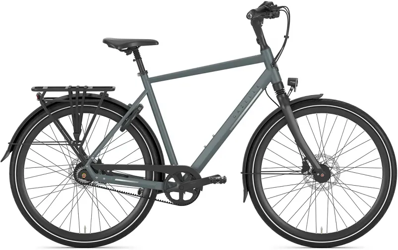 Gazelle Chamonix S8 Herren grün 2026 - 28" - 57 cm