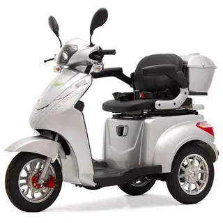 Efun  ECO ENGEL 501 Blei-Akku Silber, 25 km/h 