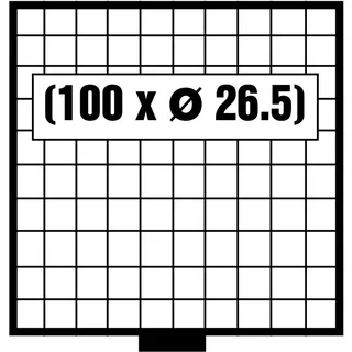 SAFE MÜNZBOXEN BEBA - MB6109R - 81 x 29,6 MM FÄCHER GRATIS mit roten Filzeinlagen - für Münzen bis 29,6 mm und Münzkapseln bis Caps 23,5 mm - Ideal für 1, 2, 5, 10, 20 Cent 1 & 2 EURO u. 5 DM Gedenkmünzen - 40 % mehr Platz als vergleichbare Münzboxen