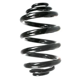 SPIDAN Fahrwerksfeder