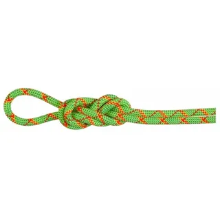 Mammut 8.0 Alpine Core Protect Dry Rope (Bunt 50 Größe)