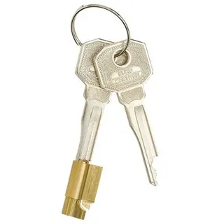 Burg Wächter Schlüssellochsperrer ME/2