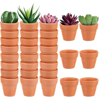 30 Stück Mini-Topf aus Terrakotta, 3,1 cm, Mini-Ton-Pflanzgefäß aus Ton mit Drainagelöchern, Sukkulentensamen, Kindergartenbehälter für Kinder, Erwachsene, Zuhause, Garten, Büro, Schreibtisch