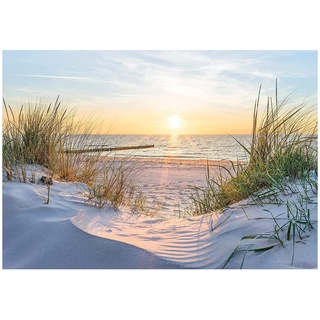 WallArena Fototapete Strand Meer Nordsee Dünen Sonne Panorama Natur Modern Wohnzimmer Schlafzimmer Wandtapete Vlies Tapete UV-Beständig Geruchsfrei Montagefertig (14020, VEM (104x70,5 cm) 1 Bahn)