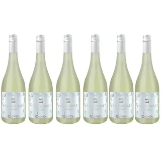 Heldenhaft SECCO weiß trocken 0,75l 6er Karton
