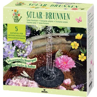 Moses Blatt & Blüte - Solar-Brunnen