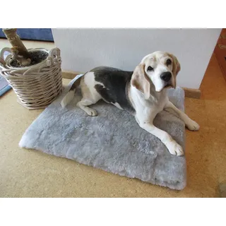 Reissner Lammfelle Engel Naturfelle Liegedecke Teppich für Katze und Hund Lammfell (Patch) 140x60cm Silber grau