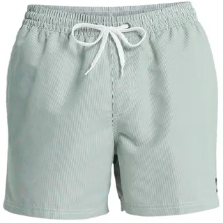 QUIKSILVER Everyday Deluxe Badeshorts Grün XXL