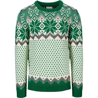 Dale of Norway Herren Vegard Pullover (Größe L, gruen)