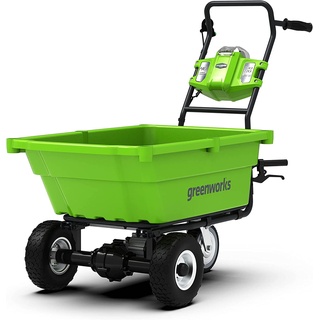 Greenworks G40GC 40 V Grün