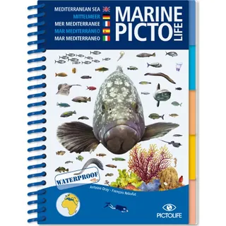 Pictolife Mediterranean Marine Führer - One Size