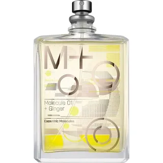 + Ginger Eau de Toilette 100 ml