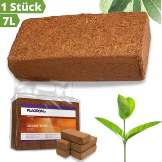 Plagron Cocos Brix 6x 7 Liter