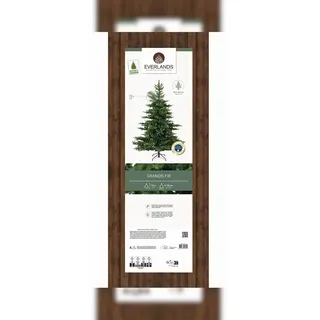 Kaemingk Grandis Tanne 681451 180cm