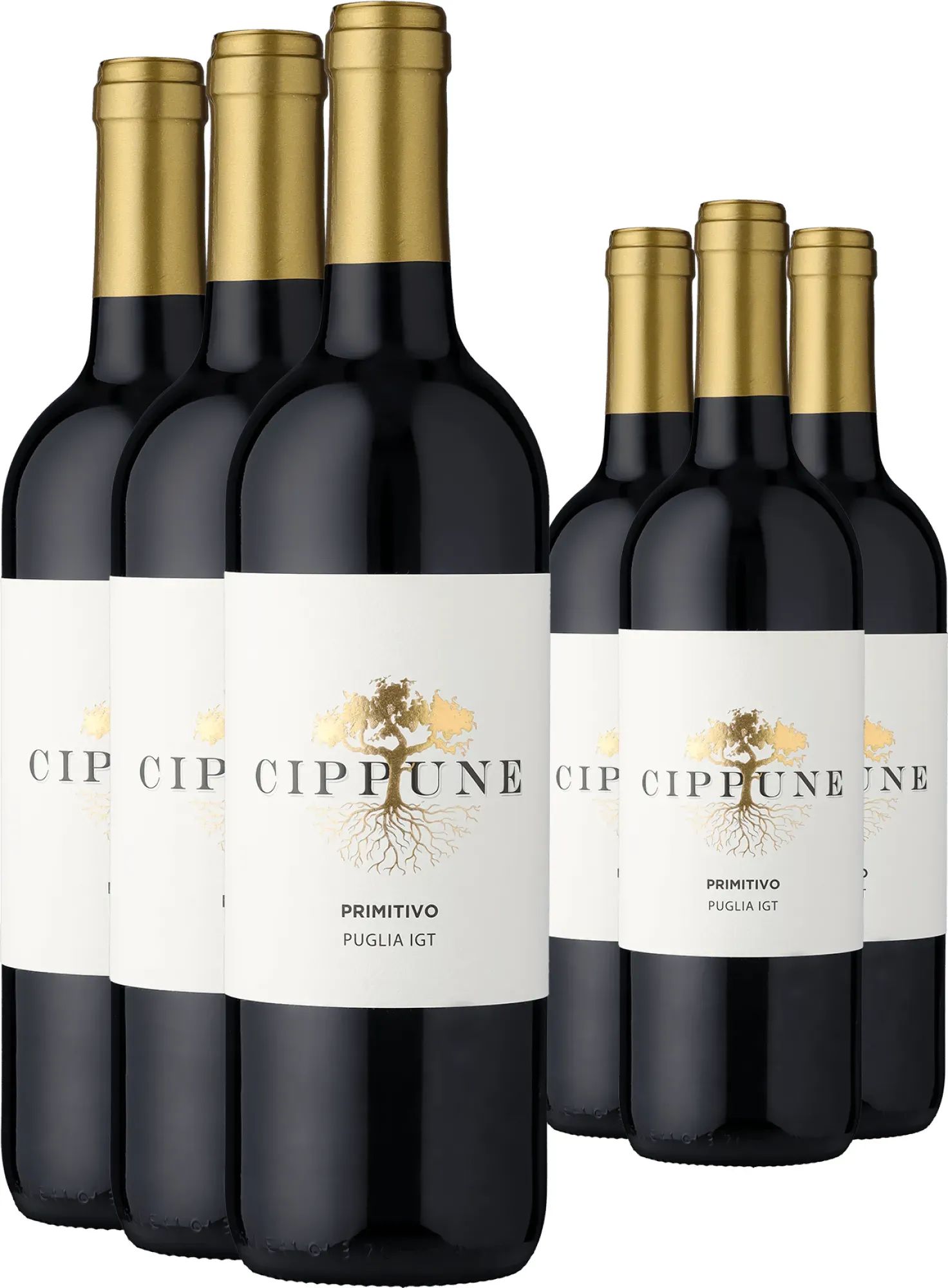 3+3-PAKET Cippune Primitivo 2025
