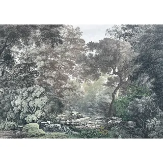 KOMAR Fototapete Vlies Fairytale Forest 400 x 280 cm