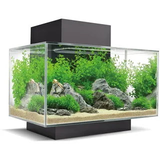 Fluval Edge 2.0 23l schwarz, 1 Stück (1er Pack)