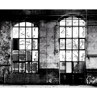 Rasch Textil Rasch Fototapete 940930 Grau Muster & Motive 3 m x 3,72 m