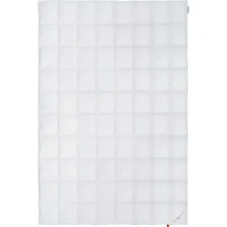 OBB Dauneneinziehdecke Sommerdecke Gitta Größe 135x200 cm