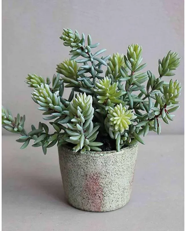 Künstliche Sukkulente im Dekotopf, 19 cm, grün