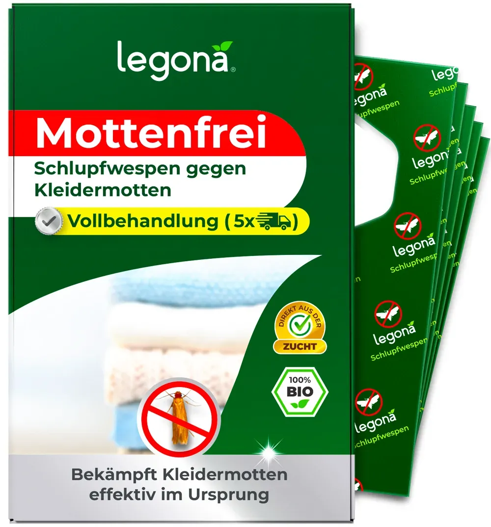 Schlupfwespen gegen Kleidermotten