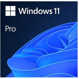 Microsoft Windows 11 Pro DVD IT