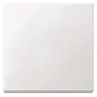 Merten Wippe 433119