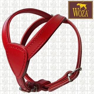 Premium Brustgeschirr Ledergeschirr WOZA Vollleder Softgeschirr Rindnappa B32972